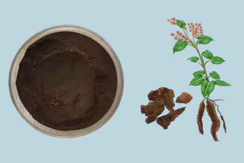 Fo-Ti Extract Powder Supports Botanical Ingredient Suppliers Developing Hair Care and Wellness Formulations